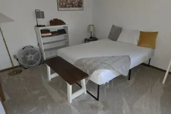 Move-In Cleaning Service