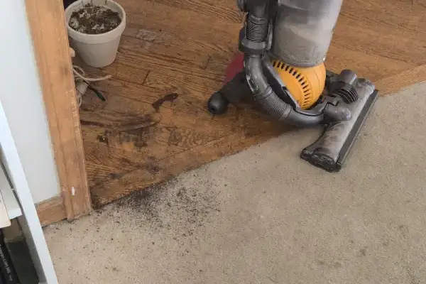 Move-Out Cleaning Services